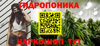хмурый Партизанск