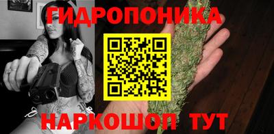 винт Пенза