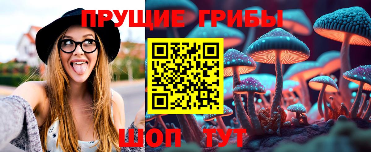 Галлюциногенные грибы ЛСД  Вход с VPN  купить наркотики сайты  Тихвин 